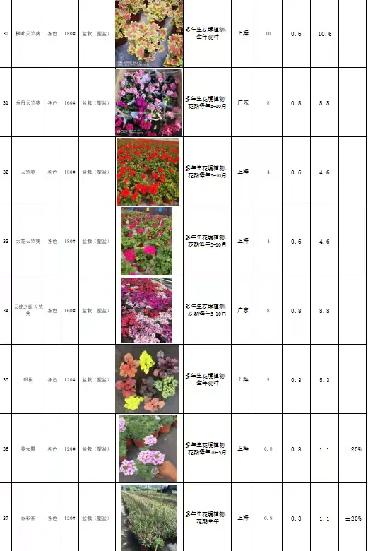 花境植物规格、颜色、花期、价格一览表