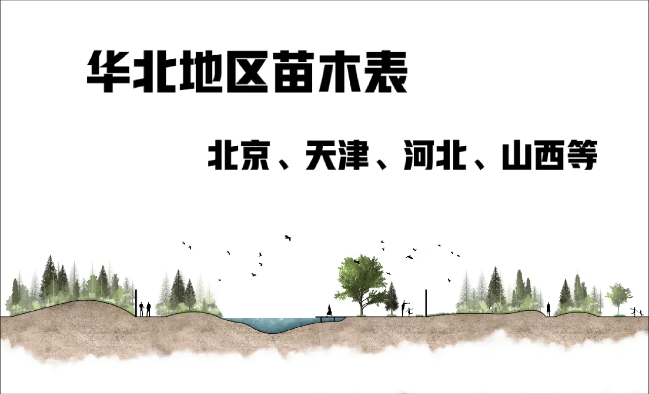 苗木表｜华北地区