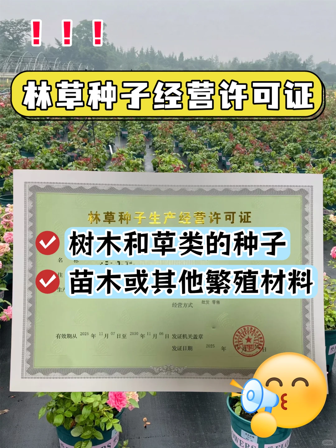 卖苗木种子?林草种子经营许可证怎么申请
