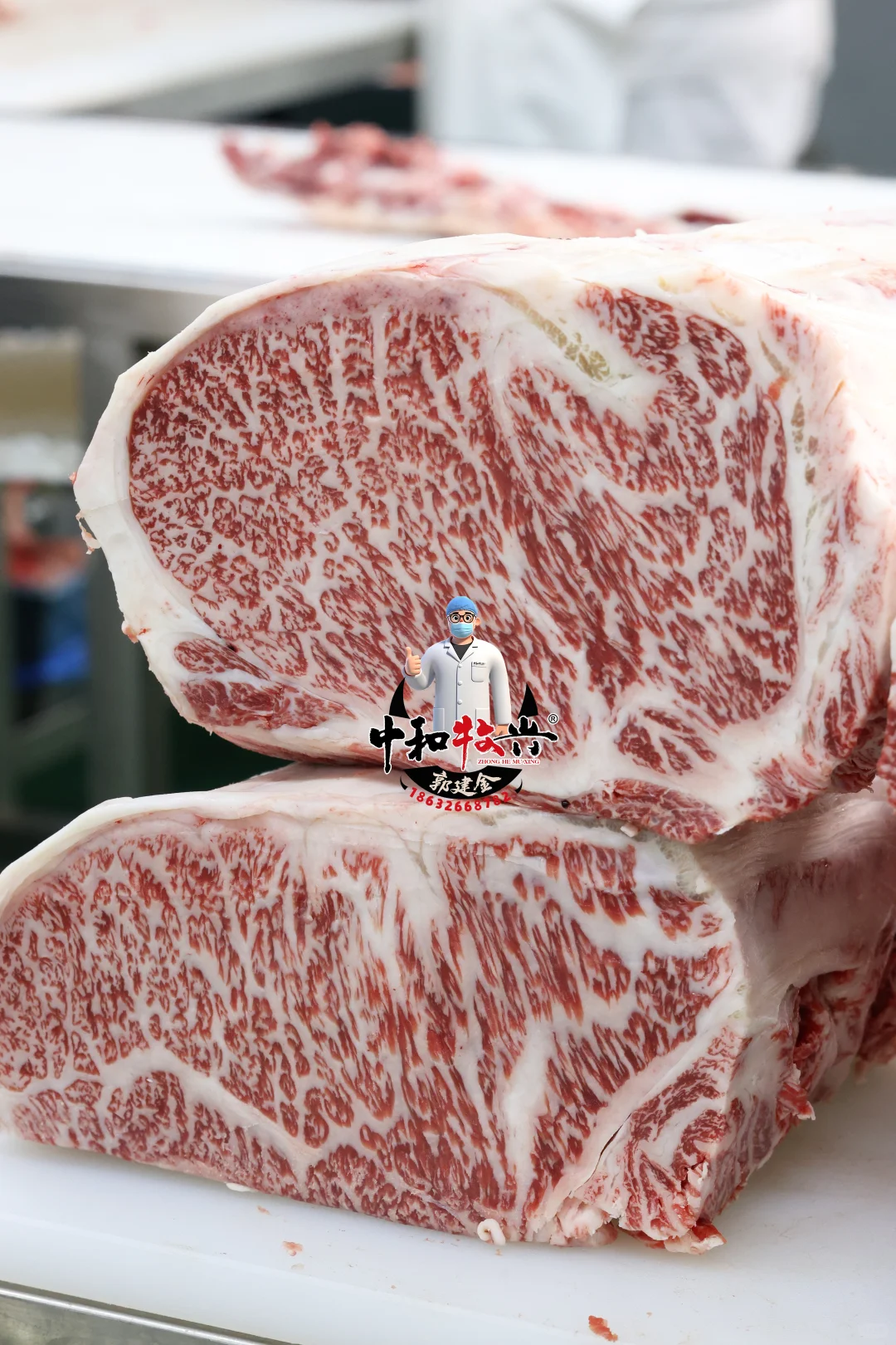 中和牧兴国产和牛分割实拍！