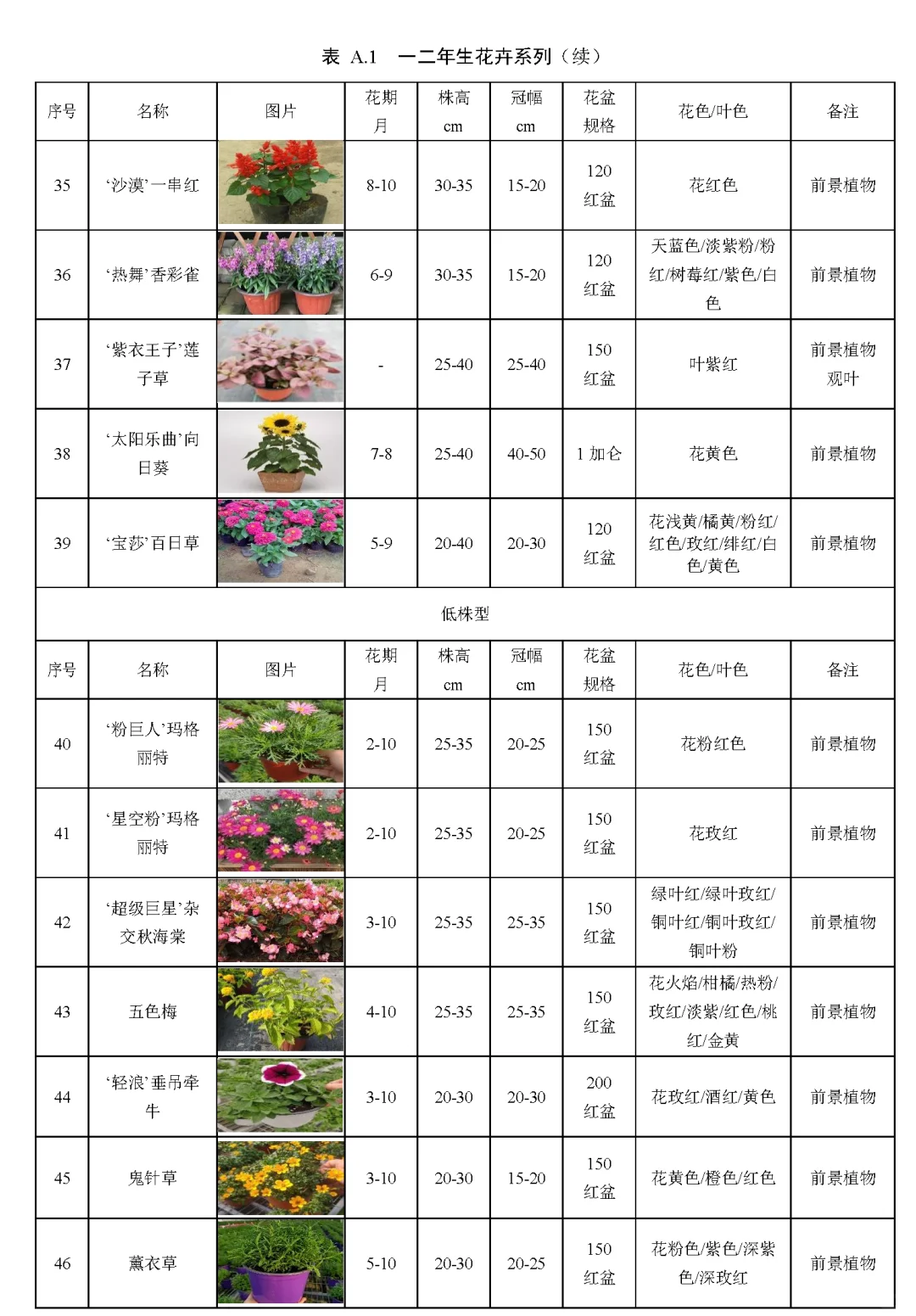 河南地区常用花境植物材料品种清单（一）