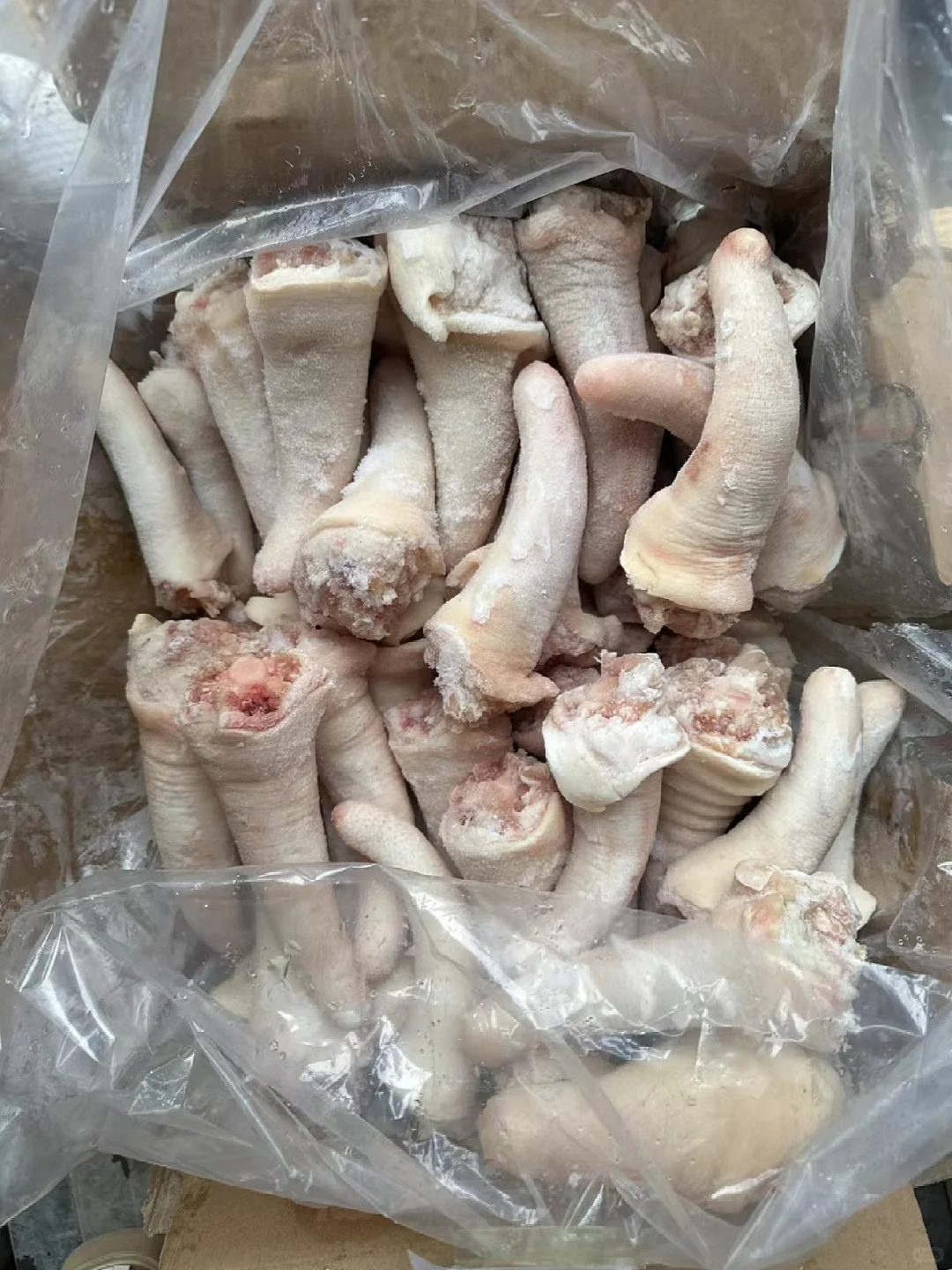 母猪精短尾❗❗❗