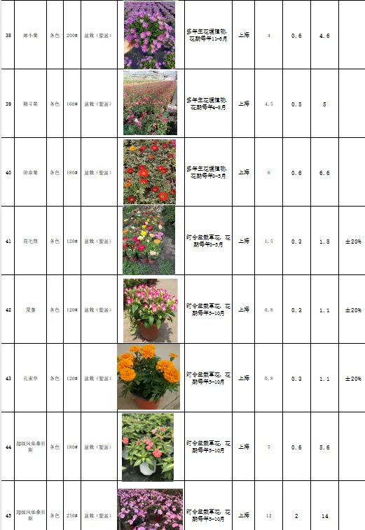 花境植物规格、颜色、花期、价格一览表