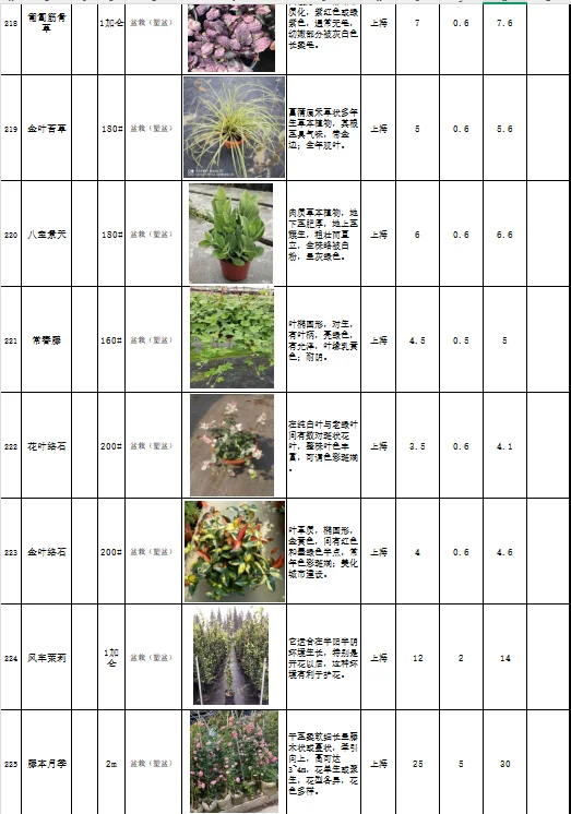 花境植物规格、颜色、花期、价格一览表