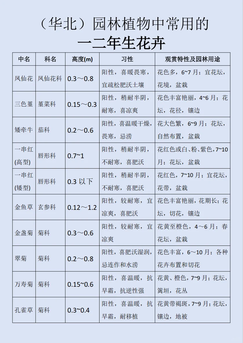 华北｜园林植物常用的一二年生花卉?