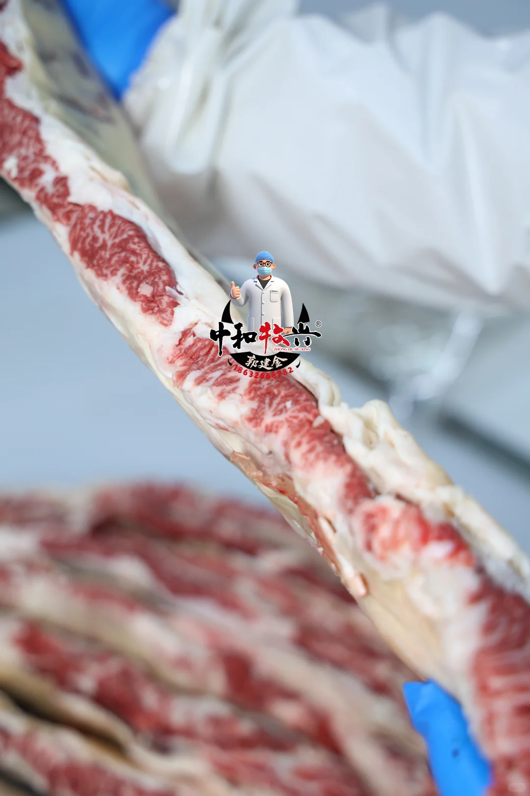 中和牧兴国产和牛分割实拍！