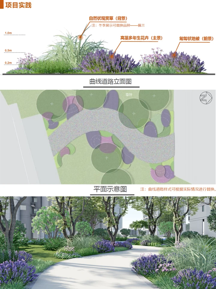 长效蓝紫花镜搭配干货！附带案例及苗木表