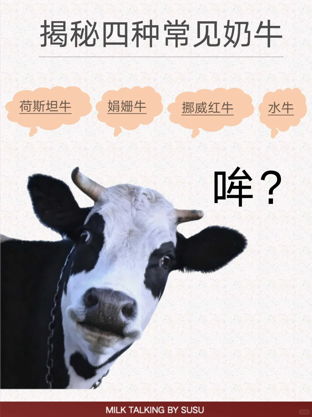 揭秘4️⃣种常见奶牛?｜世界上不止一种奶牛‼️