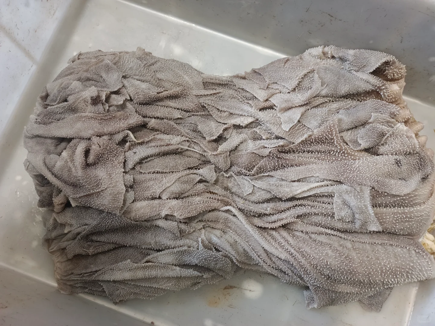 你们爱吃涮肉 还是烤肉啊？