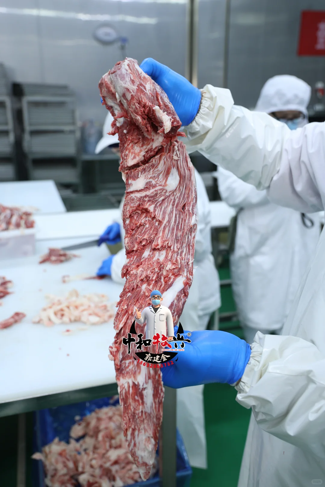 中和牧兴国产和牛分割实拍！