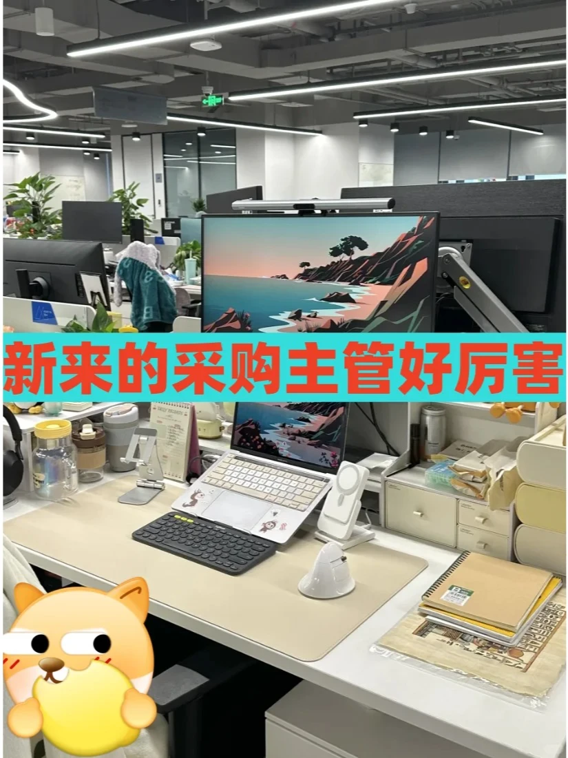 新来的采购主管好厉害