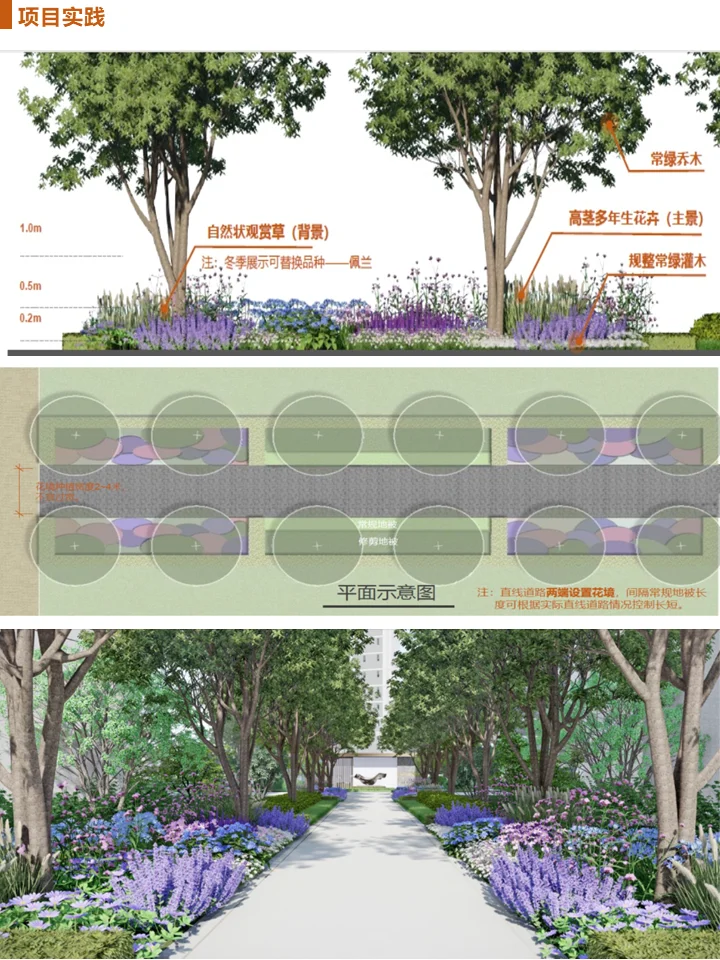 长效蓝紫花镜搭配干货！附带案例及苗木表