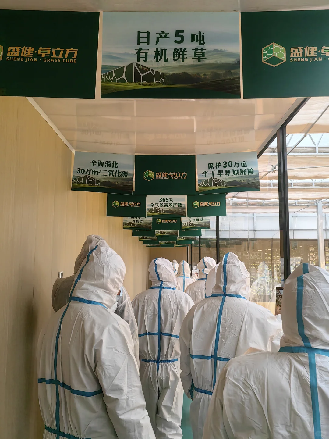 参观内蒙古自治区盛健羊乳集团