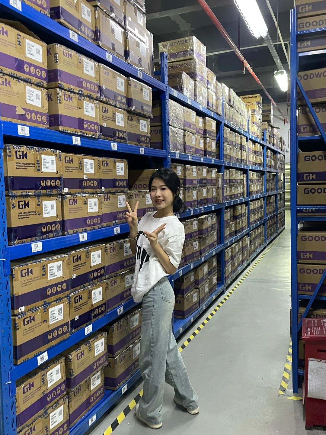 电子元器件原厂仓库