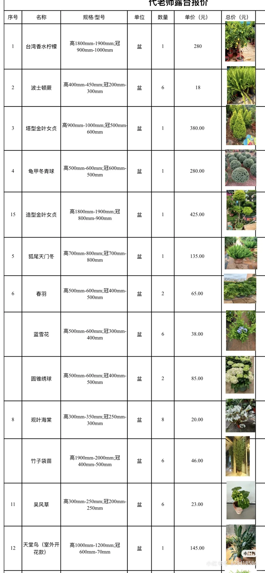 花境植物规格、颜色、花期、价格一览表