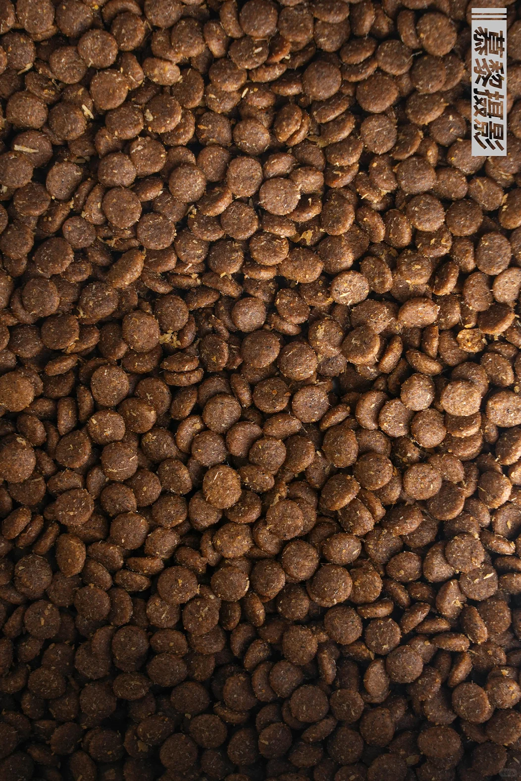 挑战在家拍产品 第11款：宠物猫粮冻干