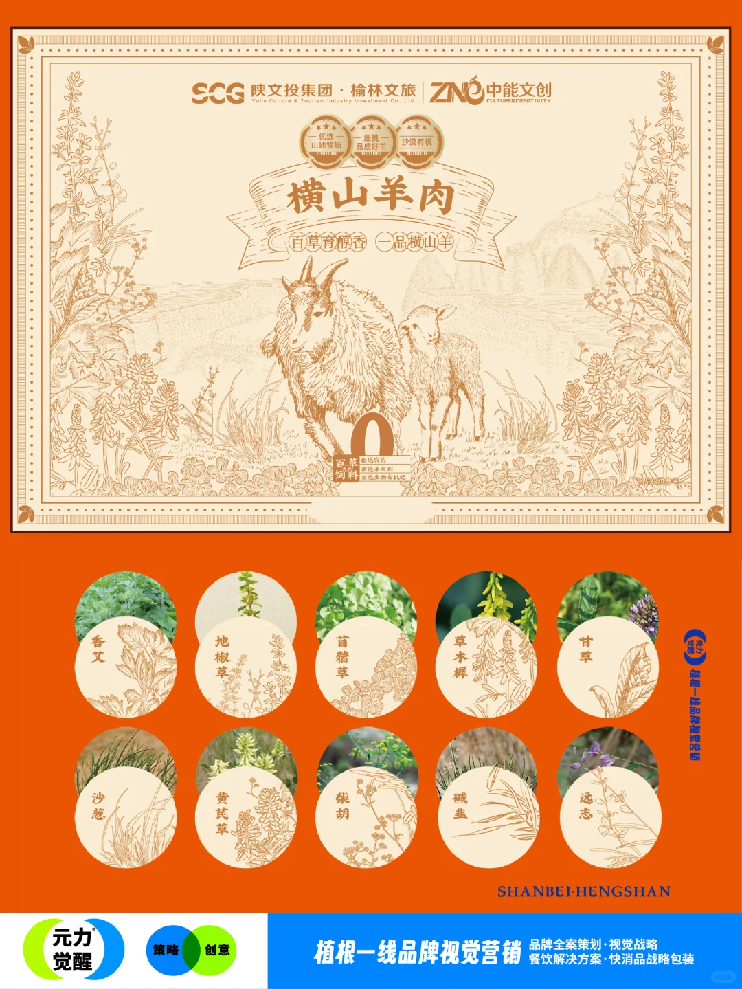 甲方说要一个羊肉包装，其它什么也没说！