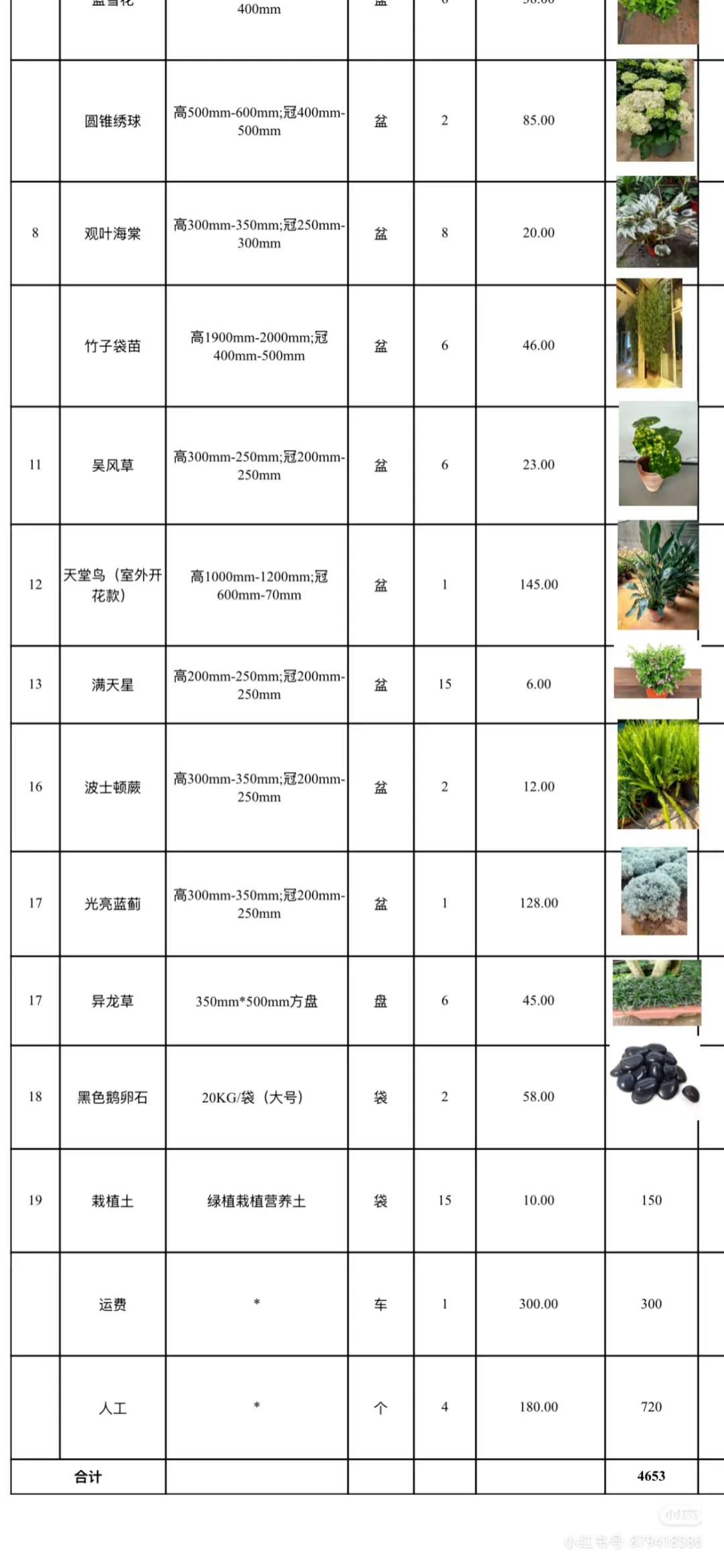 花境植物规格、颜色、花期、价格一览表