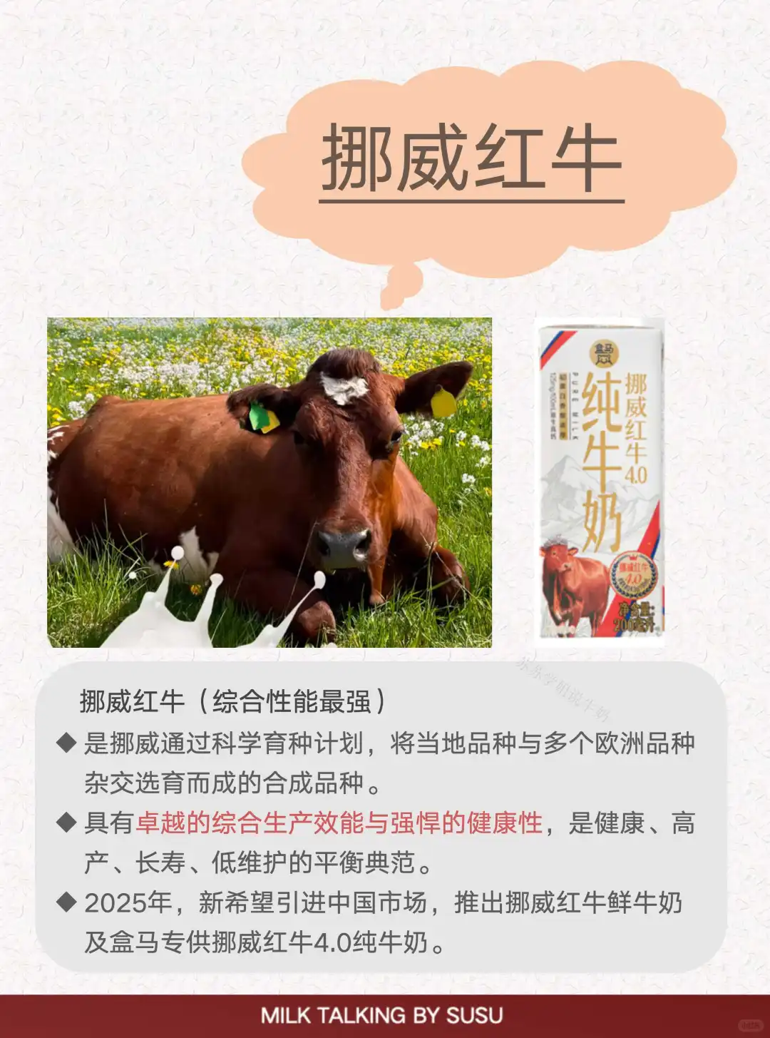揭秘4️⃣种常见奶牛?｜世界上不止一种奶牛‼️