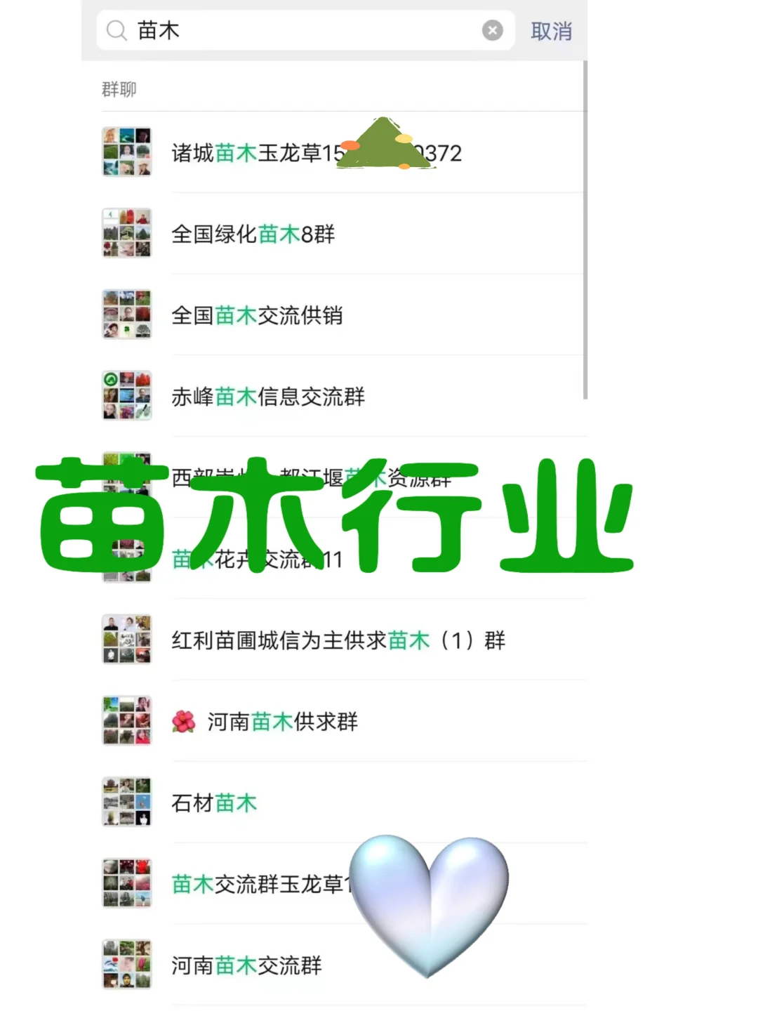 苗木资源群，绿化工程必备！?