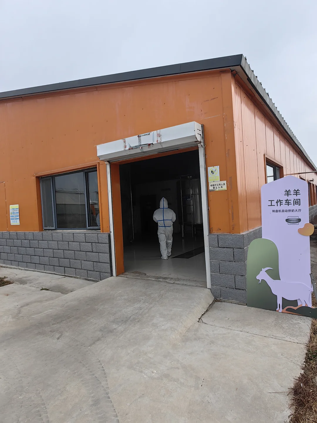 参观内蒙古自治区盛健羊乳集团