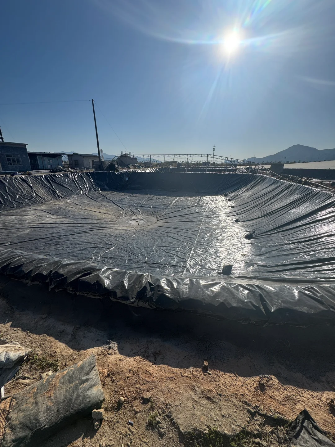 水产未来会怎么走