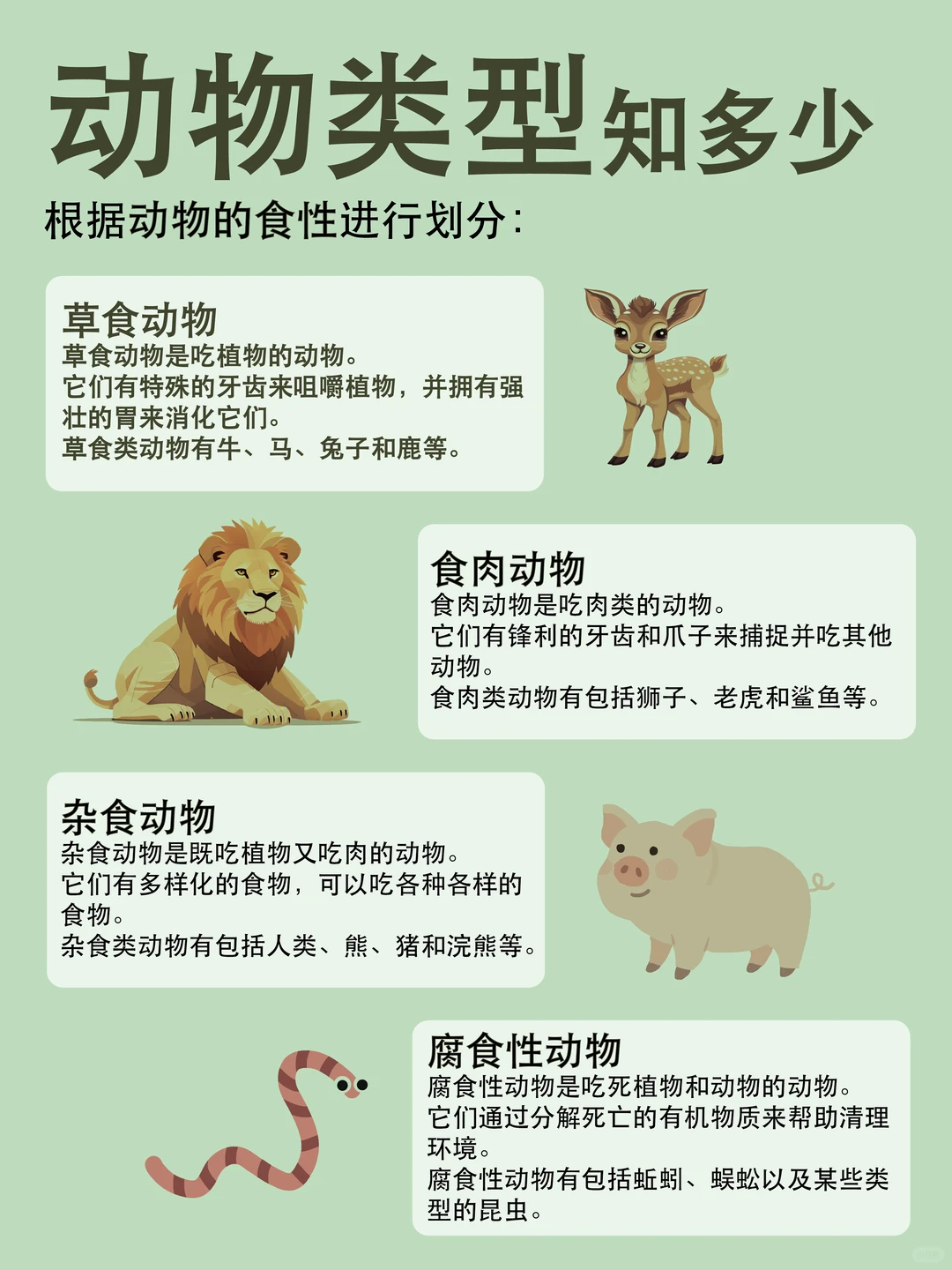 一张图带孩子了解动物的分类