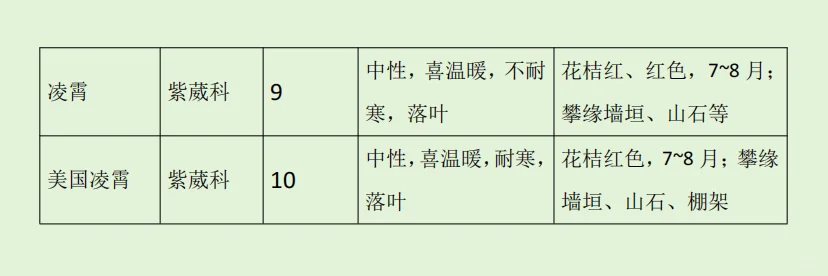 华东｜园林植物常用的藤木?
