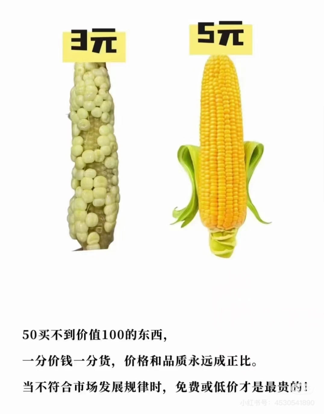 内卷的结果就是低质，卷价格的免开尊口
