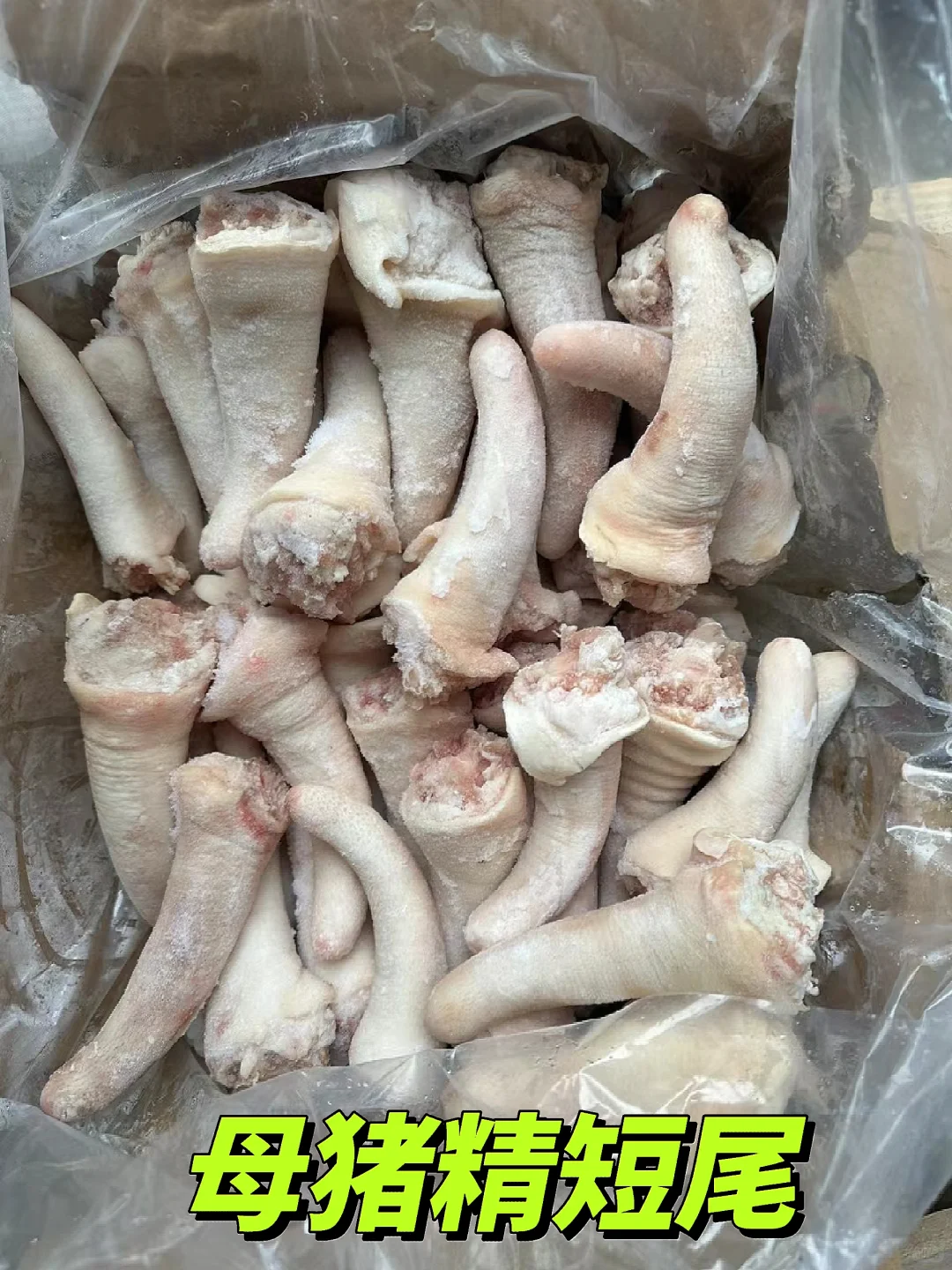 母猪精短尾❗❗❗