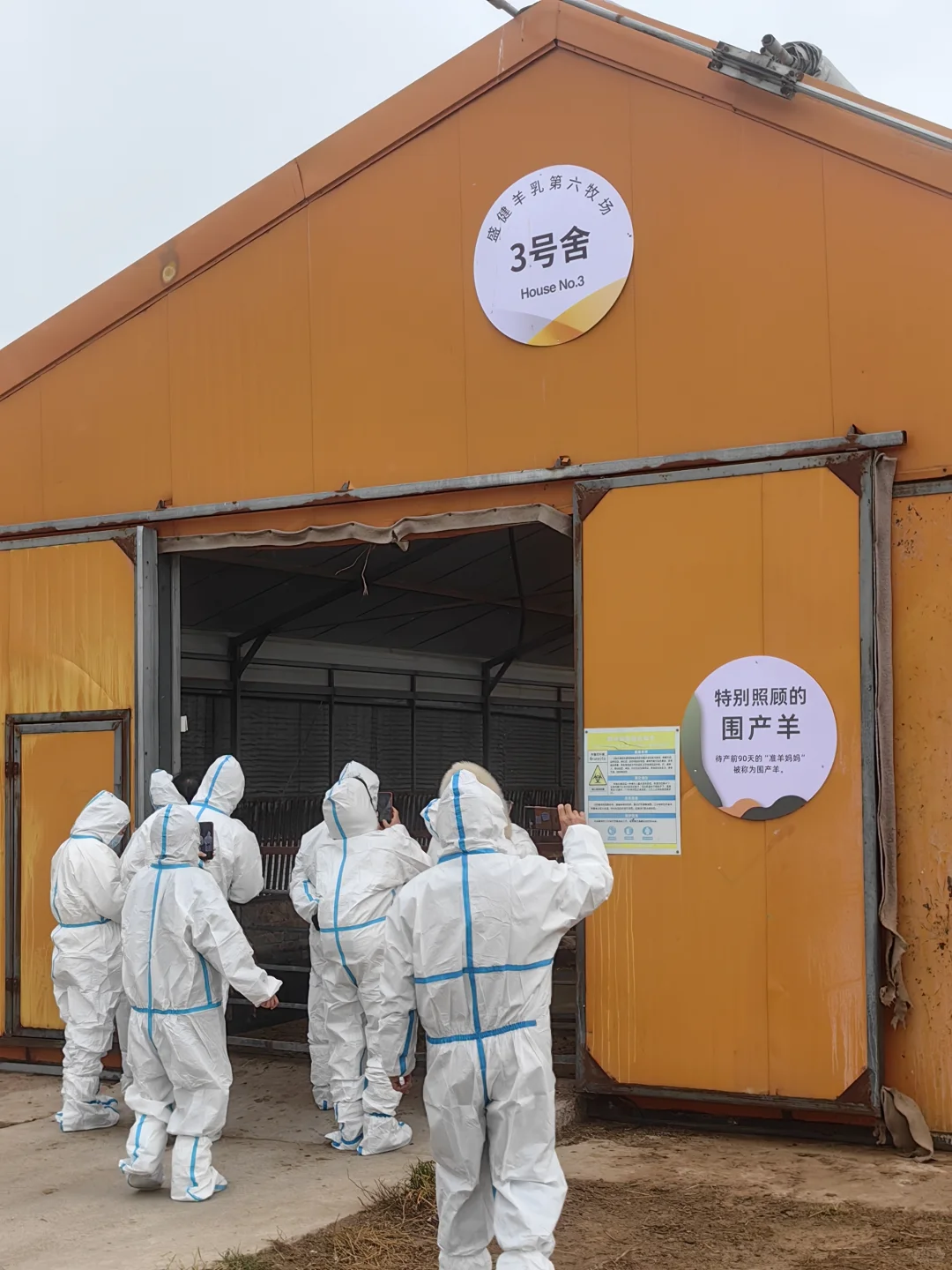 参观内蒙古自治区盛健羊乳集团