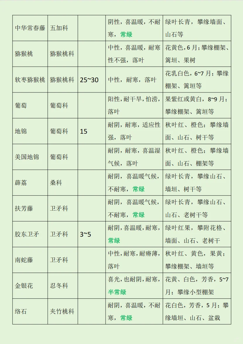 华东｜园林植物常用的藤木?