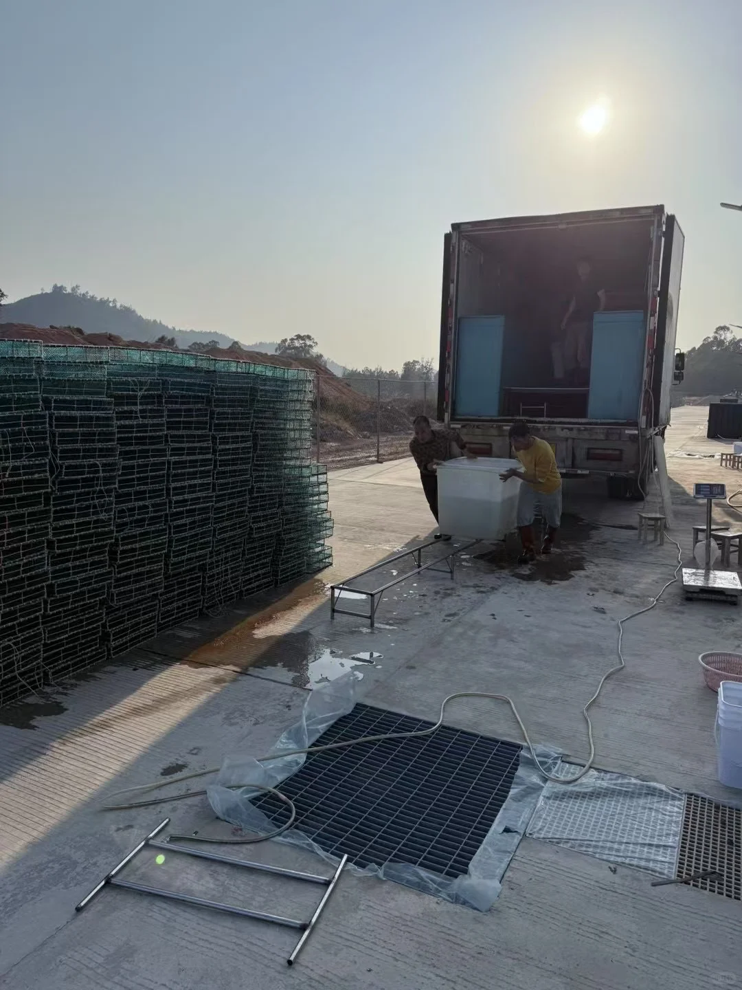 水产未来会怎么走