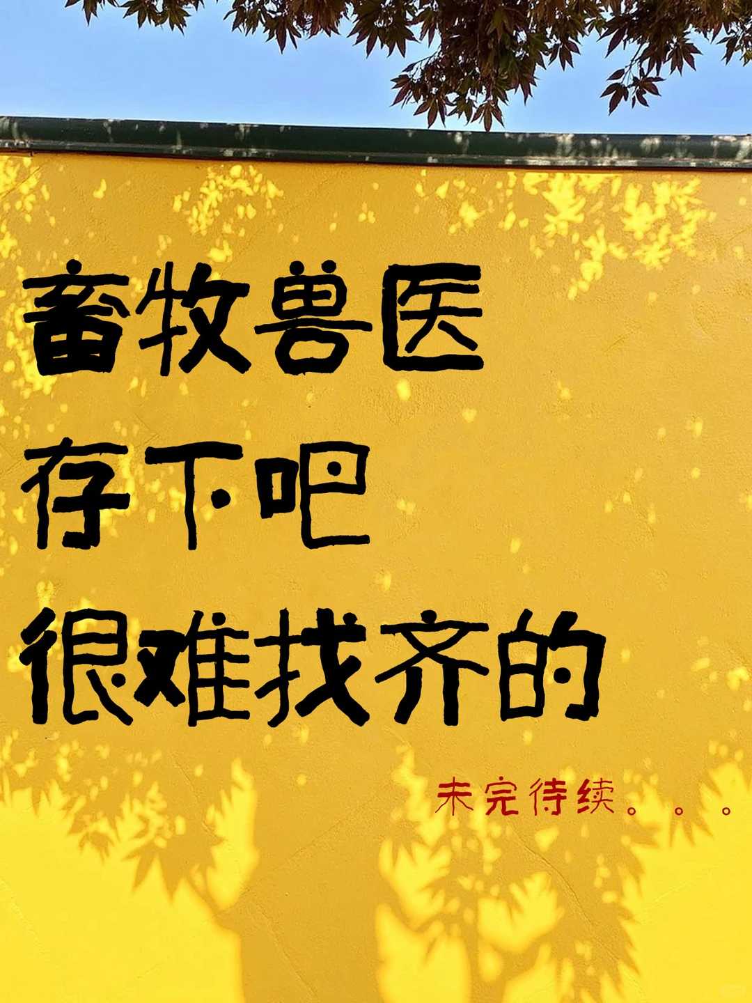 还是没忍住，向所有畜牧兽医专业的分享这些