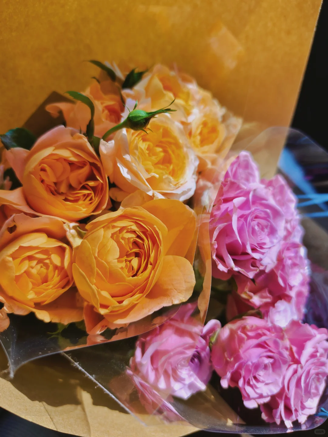 在大连 可以拍大飞机的花卉苗木市场