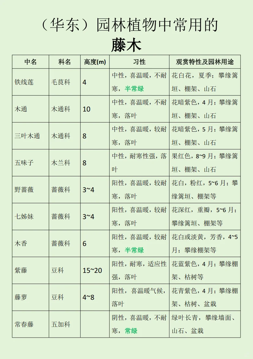 华东｜园林植物常用的藤木?
