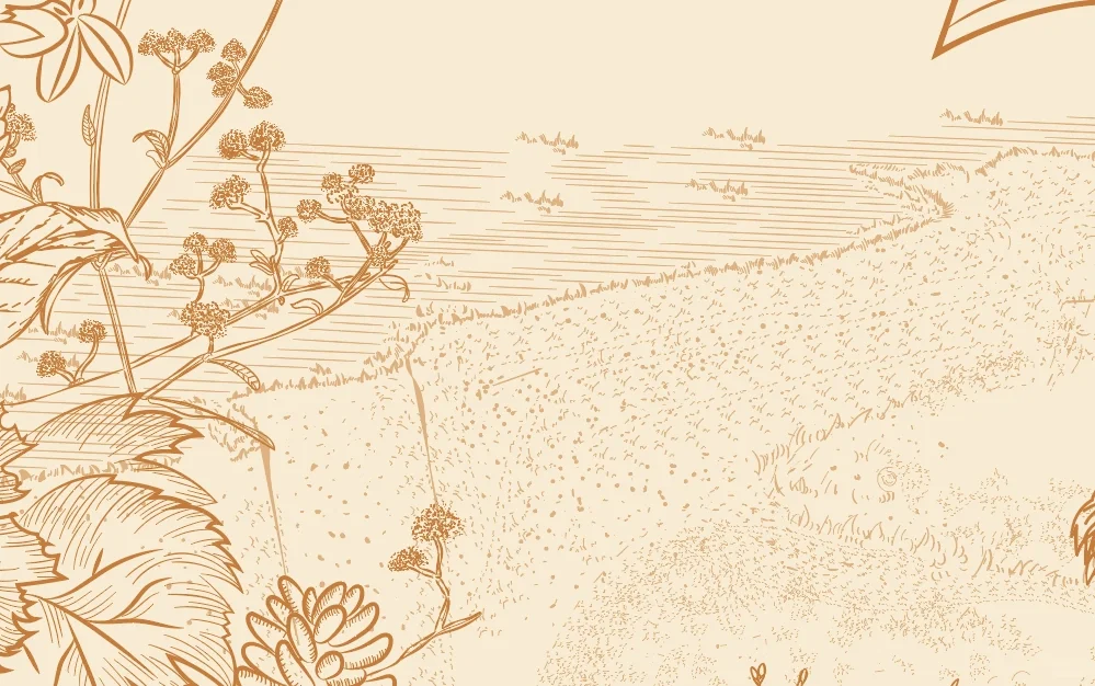 甲方说要一个羊肉包装，其它什么也没说！