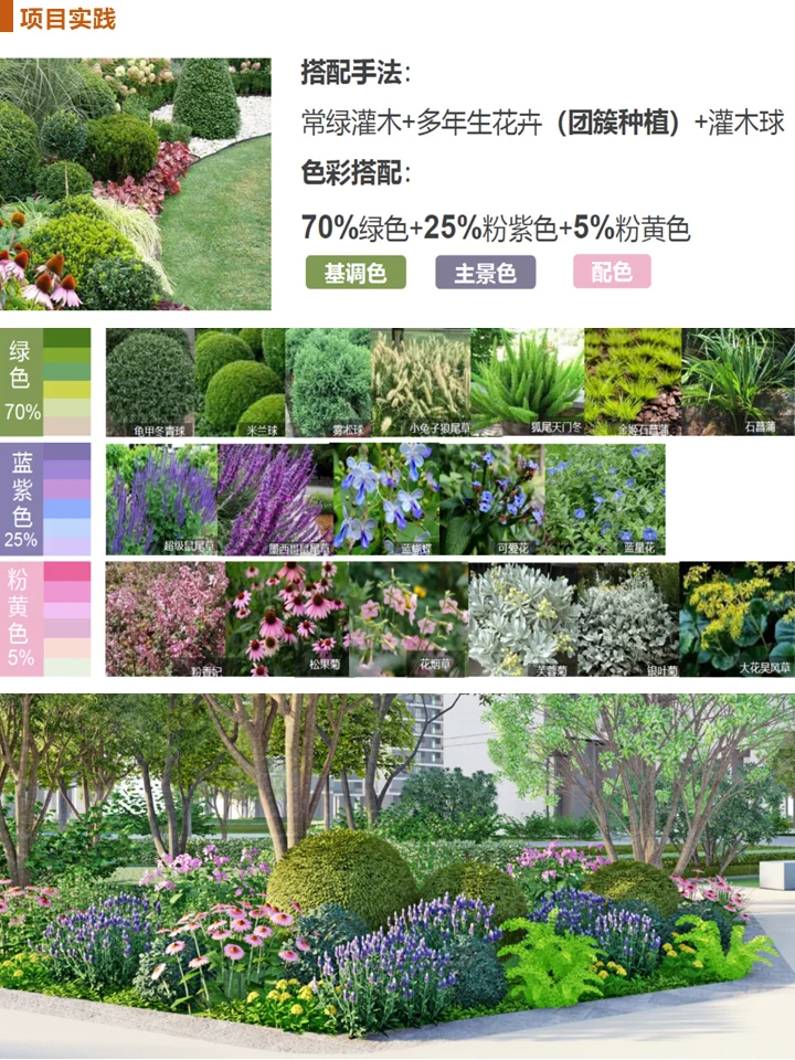 长效蓝紫花镜搭配干货！附带案例及苗木表