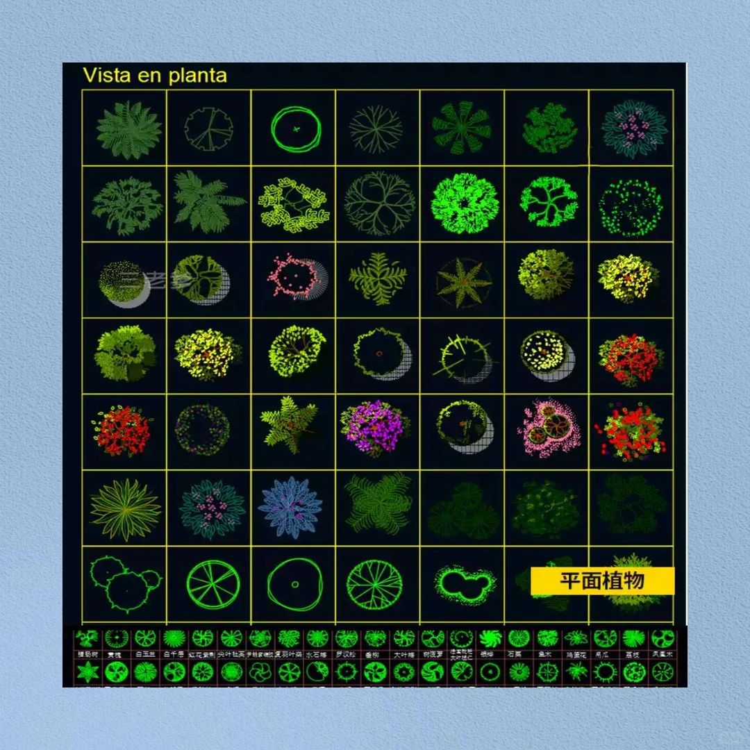 园林景观CAD图库 设计拼花铺装植物立面素材
