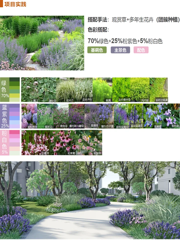 长效蓝紫花镜搭配干货！附带案例及苗木表