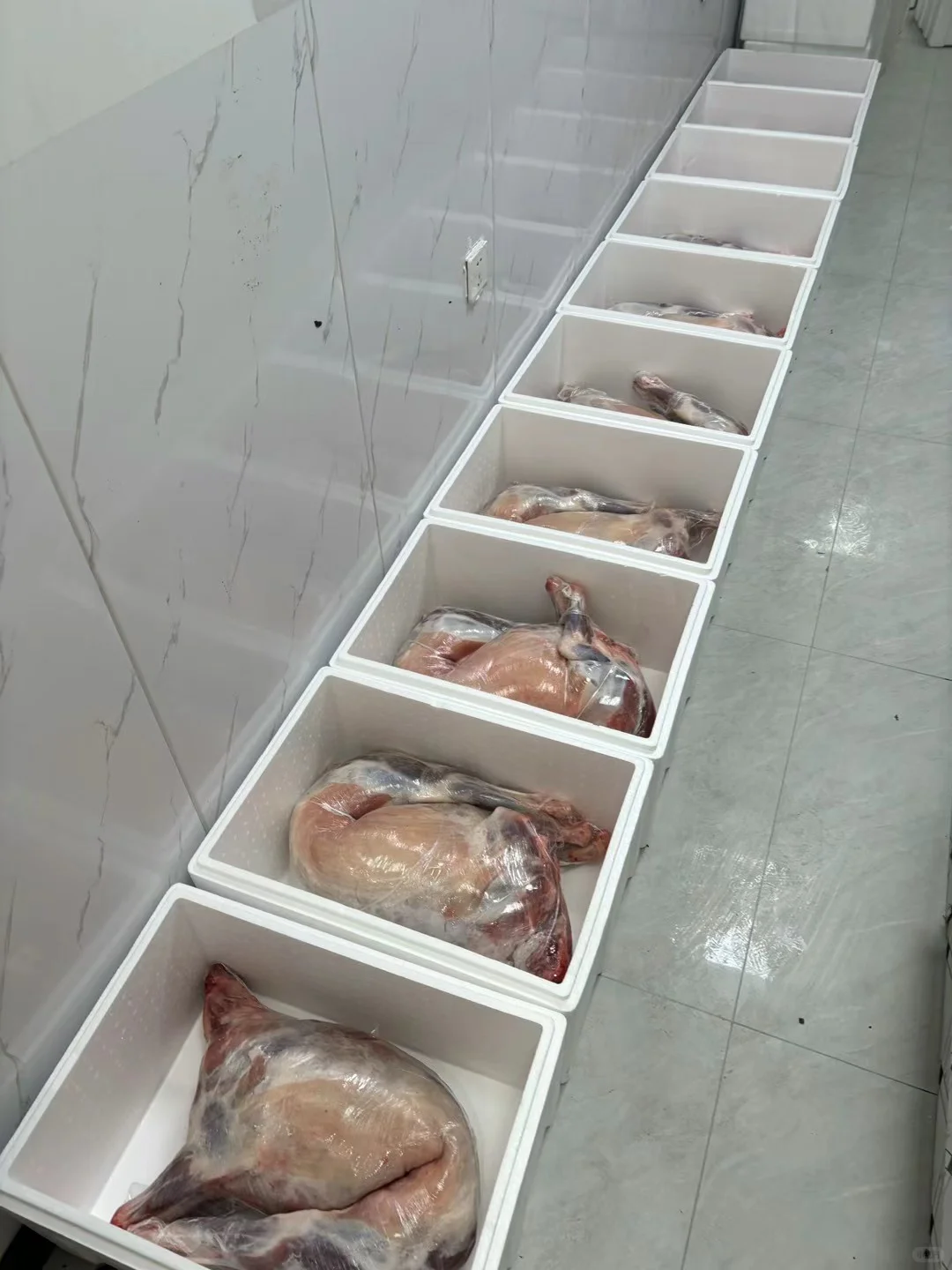 奶香味的冰碴驹俐羊最后一天发货