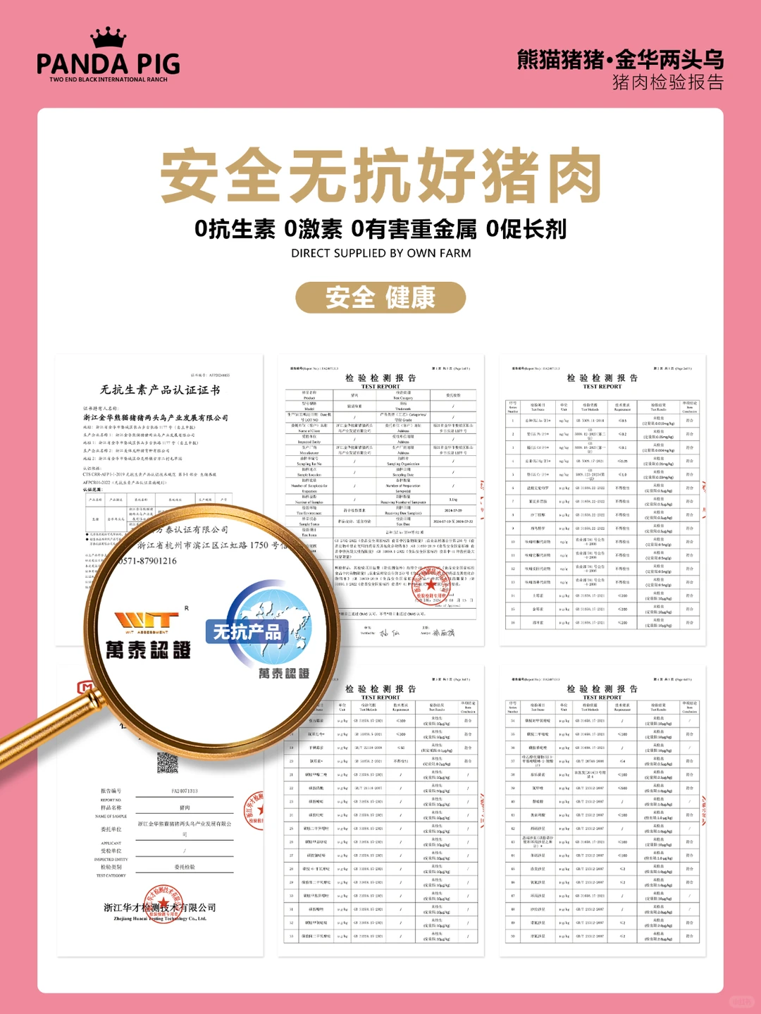 熊猫猪猪金华两头乌除了贵没毛病❗