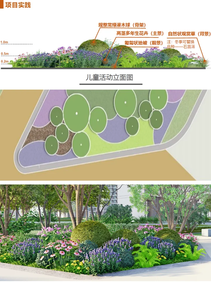 长效蓝紫花镜搭配干货！附带案例及苗木表