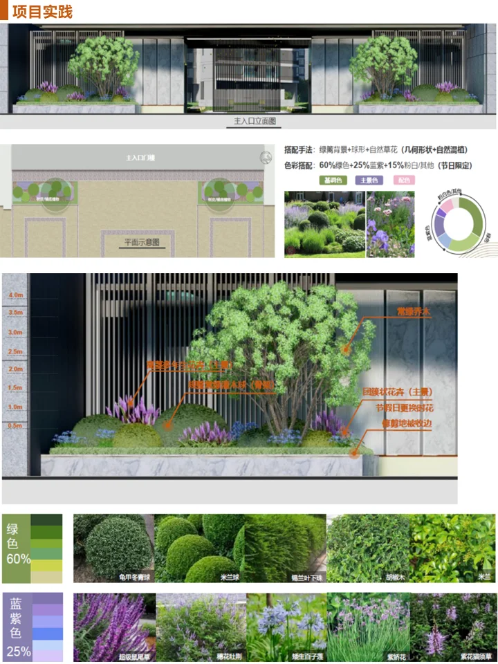 长效蓝紫花镜搭配干货！附带案例及苗木表
