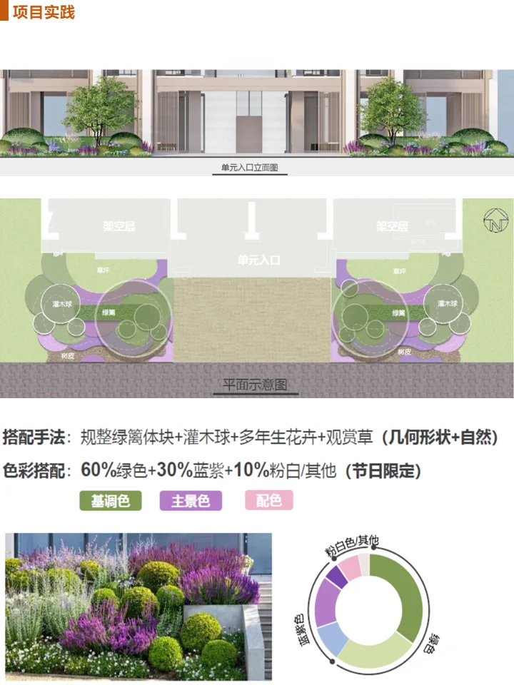 长效蓝紫花镜搭配干货！附带案例及苗木表