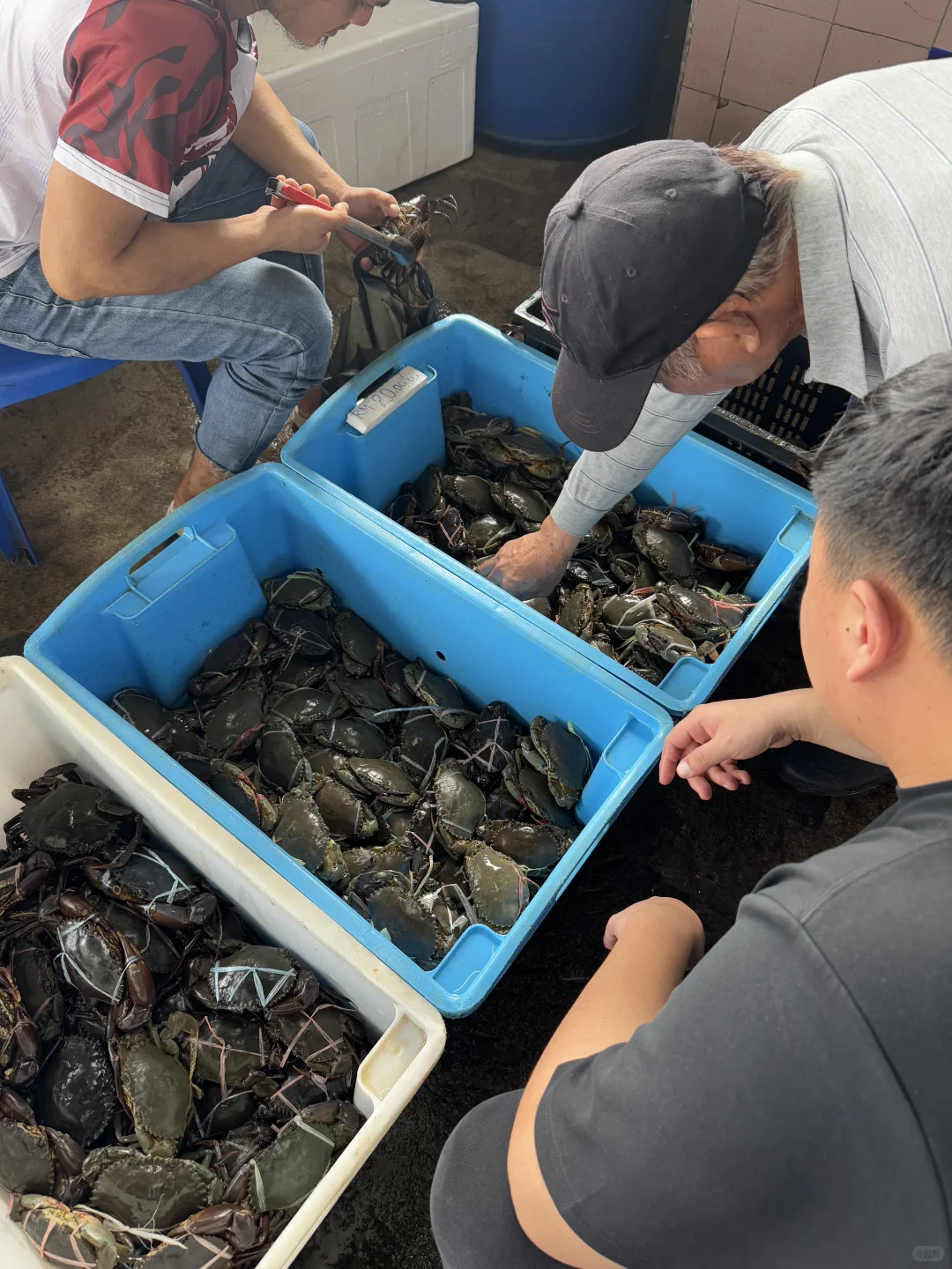 亚庇海鲜市场二楼海鲜加工16号