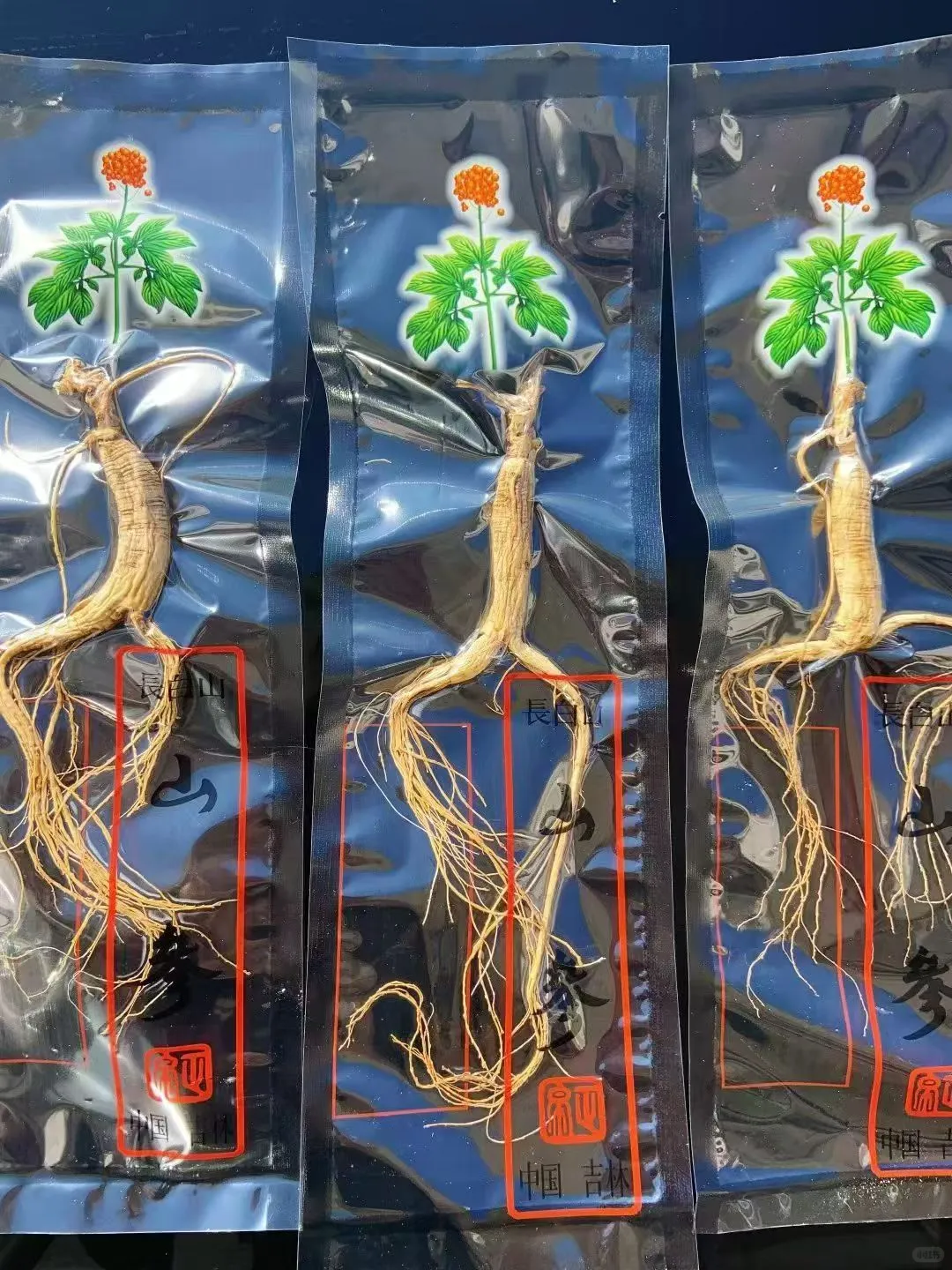 10年林下参20元一根