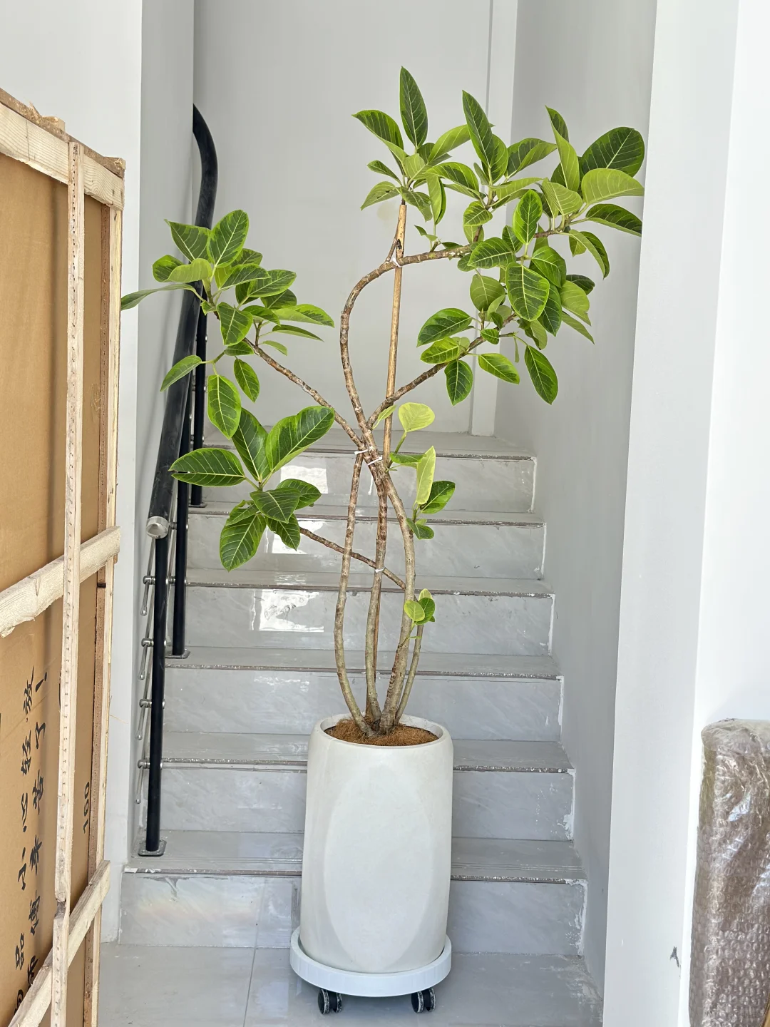 吴江盛泽送货????