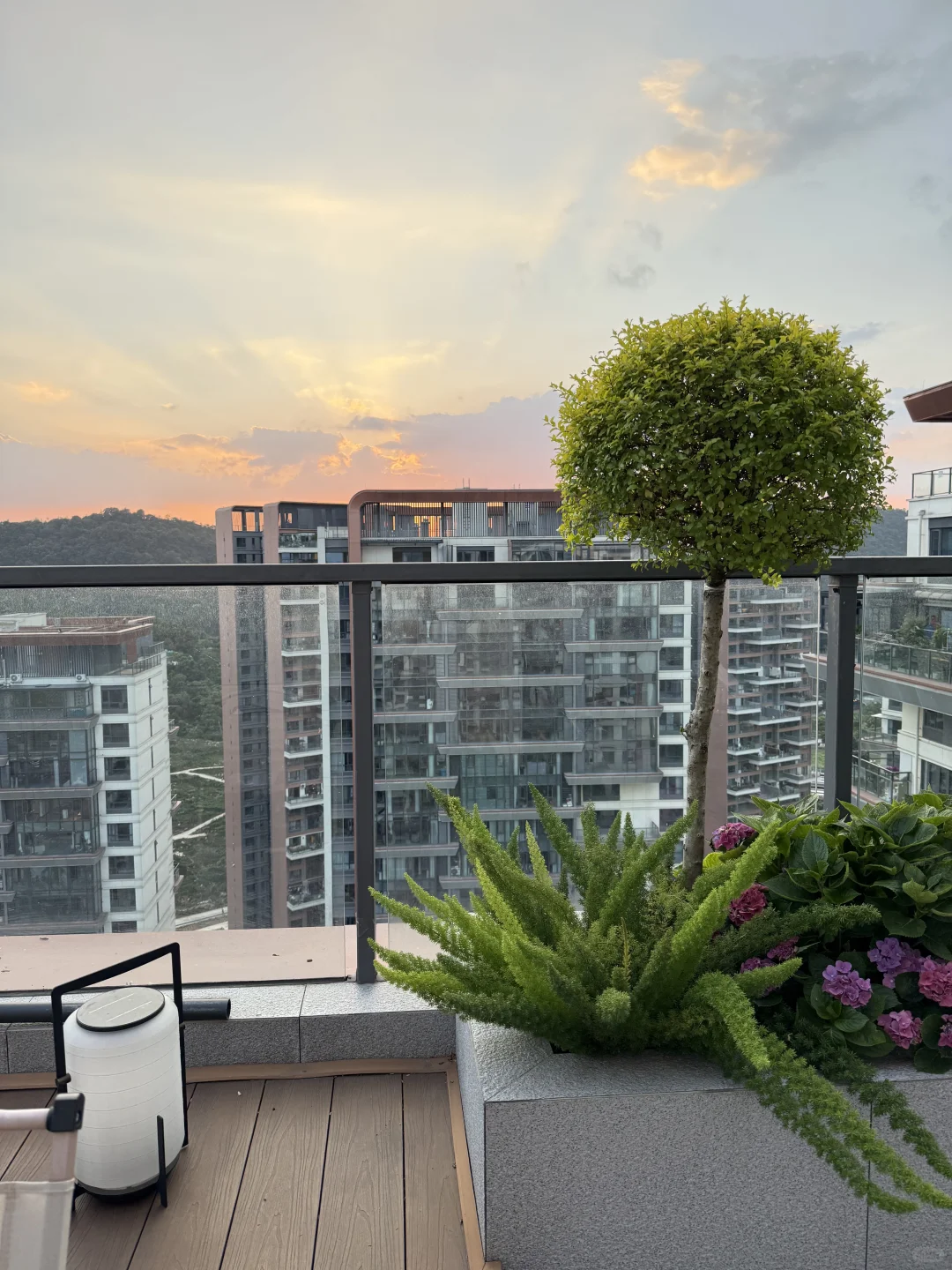 你们要的植物名称大全来啦！！！