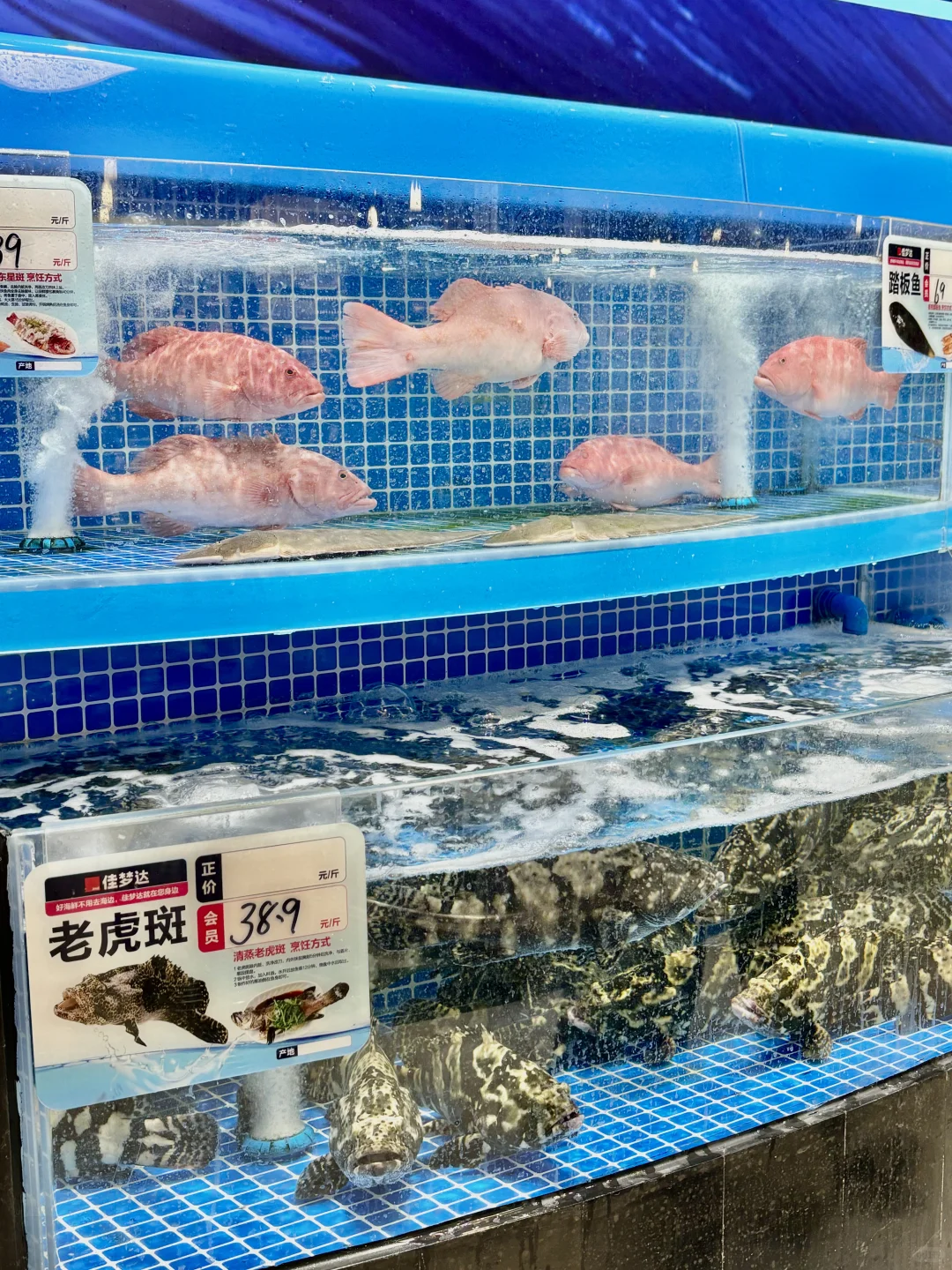 沈阳人速冲！海鲜买完直接免费加工香哭了?